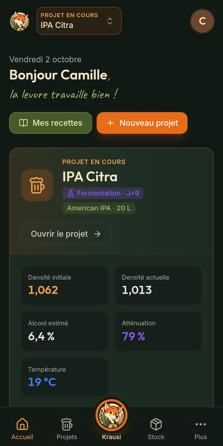 Krausi sur téléphone : le tableau de bord du projet en cours