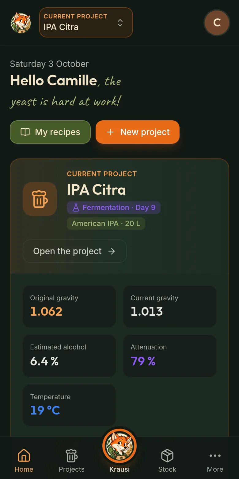 Krausi on a phone: the dashboard of the current project