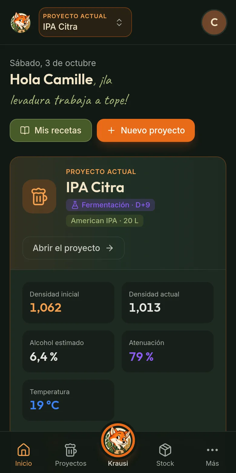 Krausi en el móvil: el panel del proyecto en curso